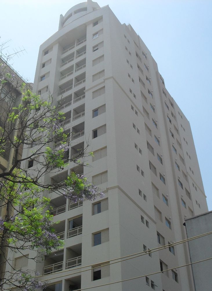 Cond perdizes new life